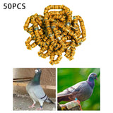 Maxbell 50x 2023 Pigeon Leg Rings Bird Foot Bands for Bantam Finch Canary Orange