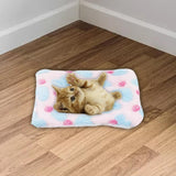 Maxbell Small Animal Nest Accessories Thickened Warm Nest Pad, for Winter Use Soft Pink