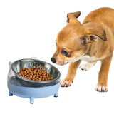 Maxbell Elevated Cat Bowls Small Medium Large Dog Drinking Dispenser Raised Dish Blue