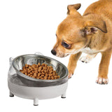 Maxbell Elevated Cat Bowls Small Medium Large Dog Drinking Dispenser Raised Dish Gray