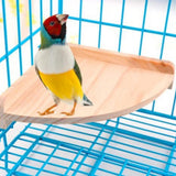 Maxbell Hamster Cage Corner Platform Wooden Stand Chinchilla Small Animal Parrot