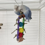 Maxbell Parrot Cage Hanging Toys Birds Chewing Bite Lovebird Finches Boredom Breaker Yellow Blue Red Ball