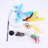 Maxbell 8Pcs Cat Feather Toy Exercise Kitten Playing Kitty Teaser Toy