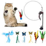 Maxbell 8Pcs Cat Feather Toy Exercise Kitten Playing Kitty Teaser Toy