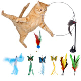 Maxbell 8Pcs Cat Feather Toy Exercise Kitten Playing Kitty Teaser Toy