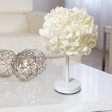 Maxbell Desk Light LED Nightlight Lampshade Bedside Table Lamp for Office