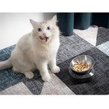 Maxbell Dog Bowls with Gray Base Durable Eating Easy Cleaning Food Bowl for Rabbit Single Bowl