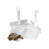 Maxbell Clear Turtle Basking Platform Climbing Ladder Reptile Tortoise Ramp 23cmx19.5cm