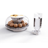 Maxbell Mini Egg Incubator Manual Egg Turner Clear Cover for Duck Birds