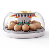 Maxbell Mini Egg Incubator Manual Egg Turner Clear Cover for Duck Birds