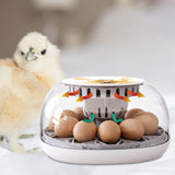 Maxbell Mini Egg Incubator Manual Egg Turner Clear Cover for Duck Birds