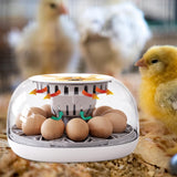 Maxbell Mini Egg Incubator Manual Egg Turner Clear Cover for Duck Birds