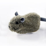Maxbell Cats Interactive Toy Rolling Ball Battery Operated Automatic for Kitten Mouse