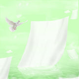 Maxbell 100 Pieces Bird Cage Liner Papers Pad Mat Non Woven Absorbent
