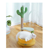 Maxbell Cat Scratcher Jumping Platform Cat Scratching Tree for Kittens Cats