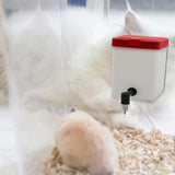 Maxbell Automatic Drinker Dispenser Water Feeder Rabbit Quail Guinea S