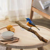 Maxbell Bird Perch Stick Decoration Chew Toys Parrots Stand Toy for Cockatiels Canary Wood