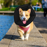 Maxbell Dog Cone Collar Foldable Cat Protective Pets Protective Collars Anti Bite L