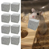 Maxbell 10Pcs Stone Square Teeth Grinding Chewing Toy Guinea Pigs Stone Pet Chew Toy 5cm