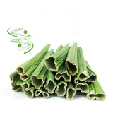 Maxbell Papaya Stem Molar Chew Toy Chew Stick for Rabbit for Gerbils Rats Rabbits