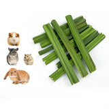 Maxbell Papaya Stem Molar Chew Toy Chew Stick for Rabbit for Gerbils Rats Rabbits