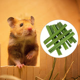 Maxbell Papaya Stem Molar Chew Toy Chew Stick for Rabbit for Gerbils Rats Rabbits