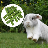 Maxbell Papaya Stem Molar Chew Toy Chew Stick for Rabbit for Gerbils Rats Rabbits