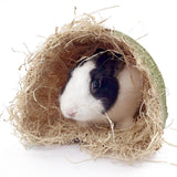 Maxbell Rabbit Tunnel Pet Interactive Toy Hideout Play Toy for Hamster Hedgehog Rat S 20cmx20cm
