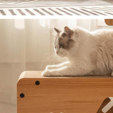 Maxbell Cat Scratching Cardboard House Scratch Protective Sofa for Indoor Cats