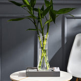 Maxbell Clear Flower Vase Container Ornament for Flower Arrangement Home Wedding 9.7cmx10cmx29.5cm