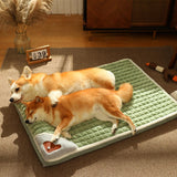 Maxbell Pet Bed Mat dog Sleeping Pad with Pillow Puppy Crate Small Animals M
