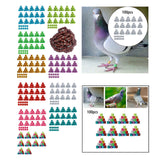 Maxbell 100Pcs Pigeon Ring 8mm 2023 Dove Legs Band for Duck Most Adult Birds Poultry White