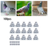 Maxbell 100Pcs Pigeon Ring 8mm 2023 Dove Legs Band for Duck Most Adult Birds Poultry White