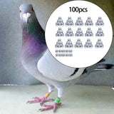 Maxbell 100Pcs Pigeon Ring 8mm 2023 Dove Legs Band for Duck Most Adult Birds Poultry White