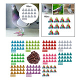 Maxbell 100Pcs Pigeon Ring 8mm 2023 Dove Legs Band for Duck Most Adult Birds Poultry White