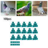 Maxbell 100Pcs Pigeon Ring 8mm 2023 Dove Legs Band for Duck Most Adult Birds Poultry Green