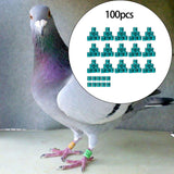 Maxbell 100Pcs Pigeon Ring 8mm 2023 Dove Legs Band for Duck Most Adult Birds Poultry Green