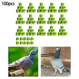 Maxbell 100Pcs Pigeon Ring 8mm 2023 Dove Legs Band for Duck Most Adult Birds Poultry Light Yellow