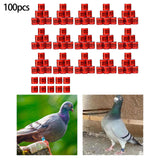 Maxbell 100Pcs Pigeon Ring 8mm 2023 Dove Legs Band for Duck Most Adult Birds Poultry Red