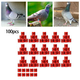Maxbell 100Pcs Pigeon Ring 8mm 2023 Dove Legs Band for Duck Most Adult Birds Poultry Red