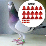 Maxbell 100Pcs Pigeon Ring 8mm 2023 Dove Legs Band for Duck Most Adult Birds Poultry Red