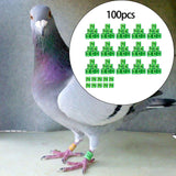 Maxbell 100Pcs Pigeon Ring 8mm 2023 Dove Legs Band for Duck Most Adult Birds Poultry Dark Green