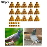 Maxbell 100Pcs Pigeon Ring 8mm 2023 Dove Legs Band for Duck Most Adult Birds Poultry Orange