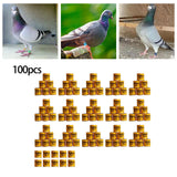 Maxbell 100Pcs Pigeon Ring 8mm 2023 Dove Legs Band for Duck Most Adult Birds Poultry Orange
