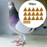 Maxbell 100Pcs Pigeon Ring 8mm 2023 Dove Legs Band for Duck Most Adult Birds Poultry Orange