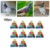 Maxbell 100Pcs Pigeon Ring 8mm 2023 Dove Legs Band for Duck Most Adult Birds Poultry Mixed Color