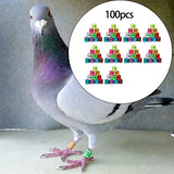 Maxbell 100Pcs Pigeon Ring 8mm 2023 Dove Legs Band for Duck Most Adult Birds Poultry Mixed Color
