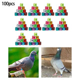 Maxbell 100Pcs Pigeon Ring 8mm 2023 Dove Legs Band for Duck Most Adult Birds Poultry Mixed Color