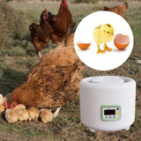 Maxbell Multipurpose Egg Incubator Digital Display Water Bed for Quail Birds Duck