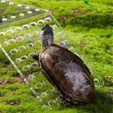 Maxbell Clear Turtle Basking Platform Resting Terrace Durable Climbing Shelf Sturdy Size S